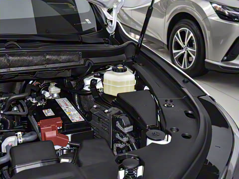 2026�� 300 ����������