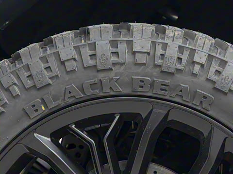 2025�� GT45 ������