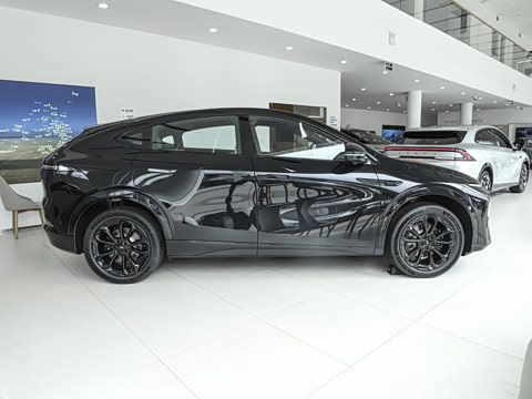 2025�� 625 ������ Max �Ƽ���