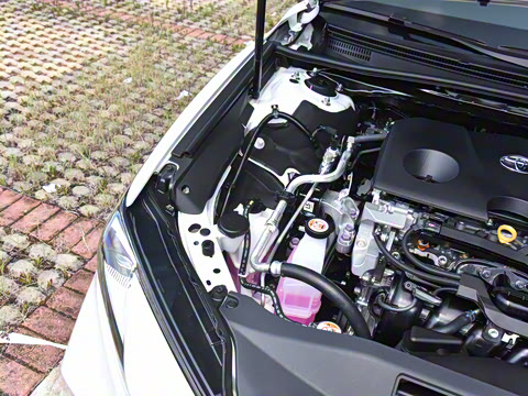 2026��  ˫�� 2.0HG ����