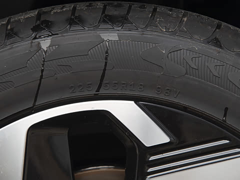 2026�� 600km ���翡�Ű�