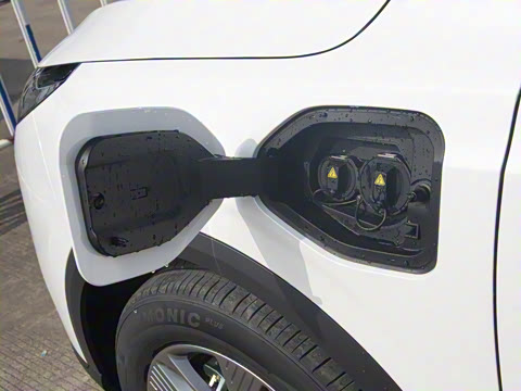 2025�� 565km ������