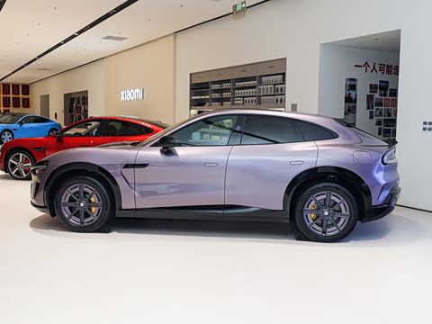 2025�� Pro��