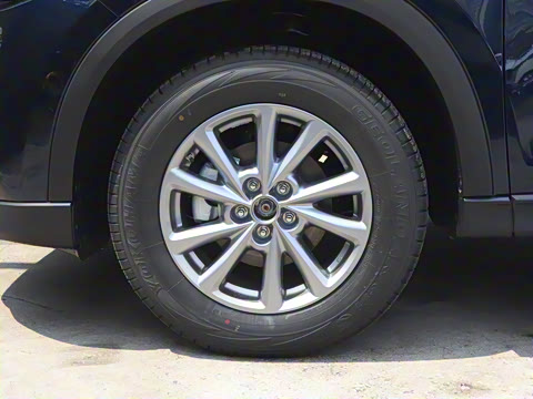 2025�� 2.0L �Զ���������Pro