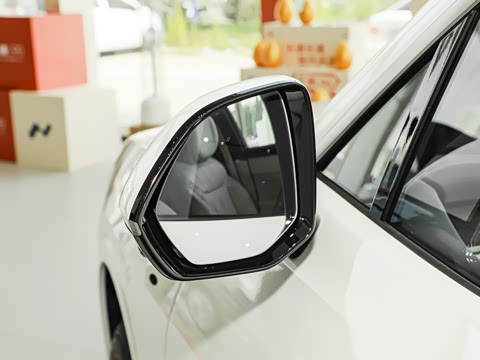 2025�� Max ������