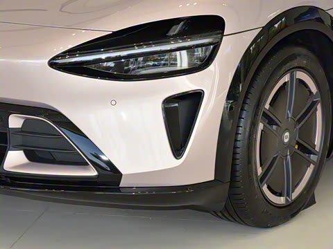 2025�� ������������Pro��