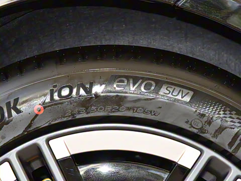 2025�� ������������Pro��