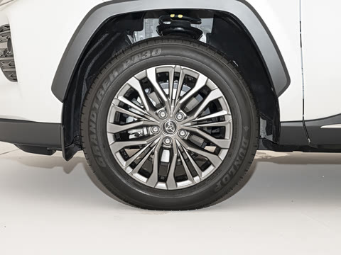 2024�� ˫�� 2.5L E-CVT��������