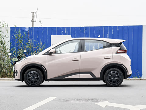 2026�� 305km ������