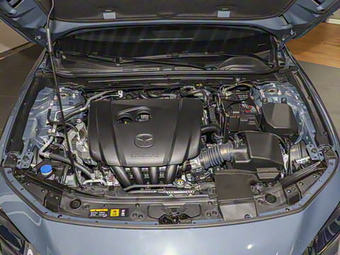 2025�� 2.0L �Զ����Ű�