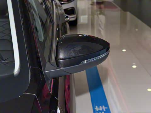 2025�� �Ŀ� 300TSI DSG���а�