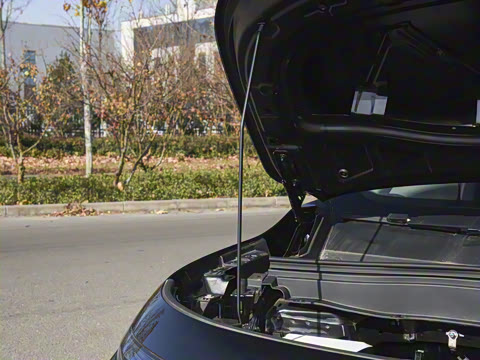 2025�� 600������