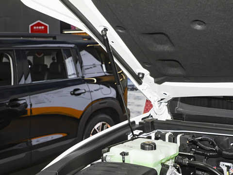 2025�� ��׼���