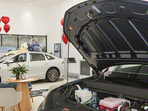 2026�� 530km ̽����