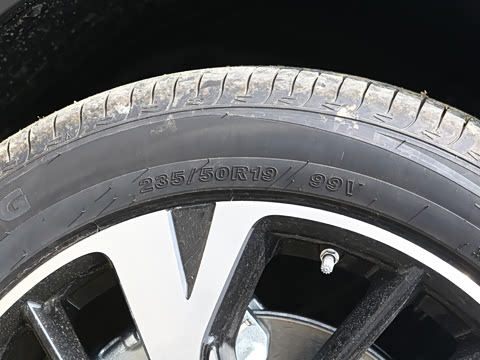 2026�� DM-i 220KM��Խ��