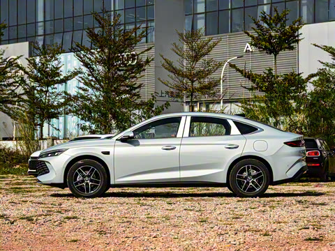 2026�� DM-i 210KM��Խ��