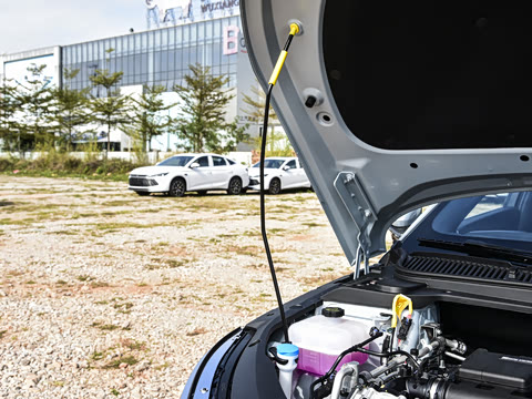 2026�� DM-i 210KM��Խ��