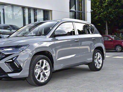 2026�� 280TSI �Զ��ȷ��