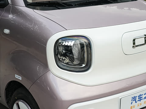 2026�� 222km ��ҫ��