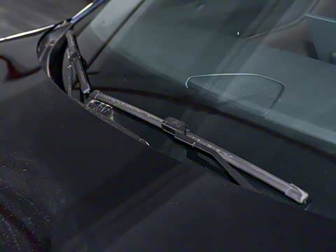 2026�� �����������̰� 310������