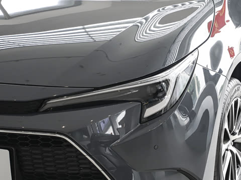 2026�� ����L 185T ������
