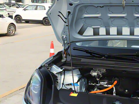 2025�� 325km ������