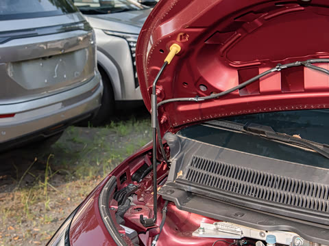 2025�� 420�����