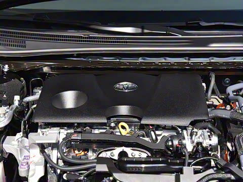 2026�� ˫�� 2.0HGVP ������