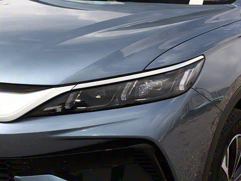 2026�� DM-i 133KM��Խ��