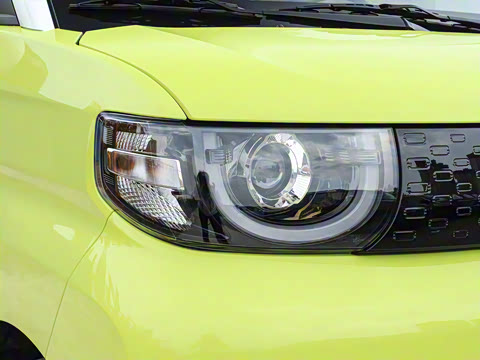 2025�� 205km ʥ����