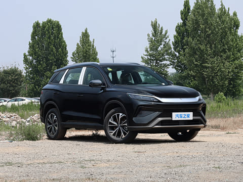 2026�� DM-i 133KM��ȡ��