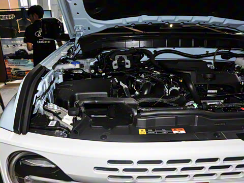 2025�� 2.3T 1966��Ű�