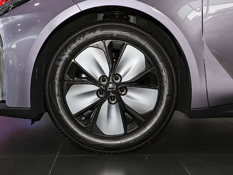 2026�� ���� 565 Plus