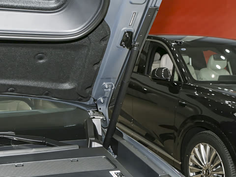 2025�� Max ������