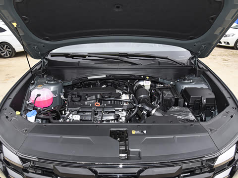 2025�� ;ʤL 1.5T ����