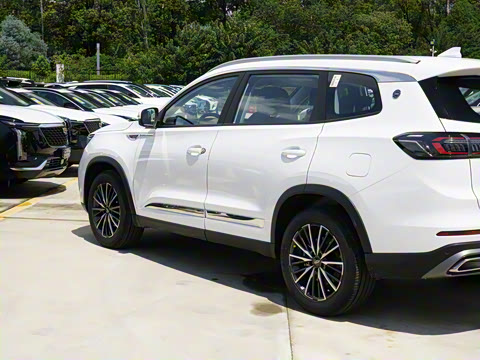 2025�� 290TGDI DCT����� 