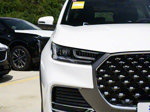 2025�� 290TGDI DCT����� 