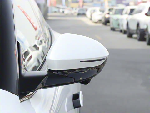 2025�� Elite�����