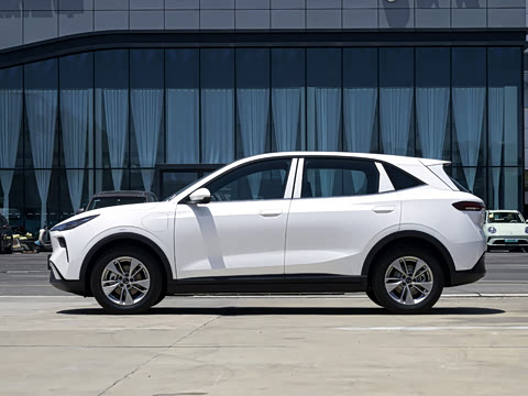 2026�� 565km ��ϲ��