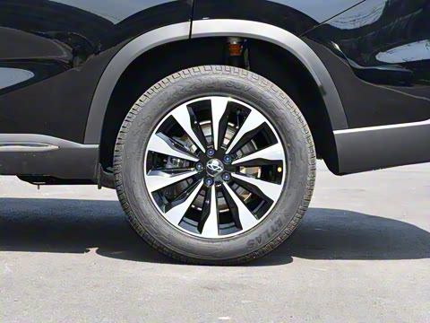 2025�� 290TGDI DCT���ư� 7��