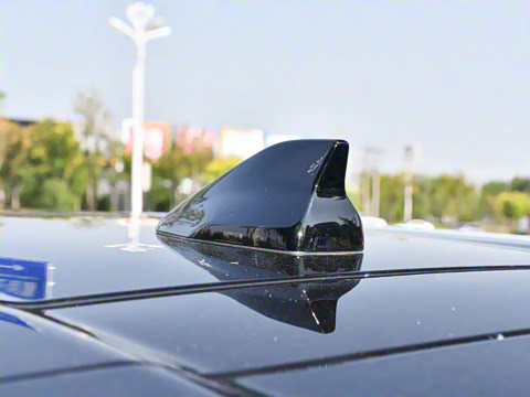 2025�� 290TGDI DCT���ư� 7��