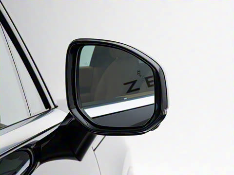 2025�� Max�� 55kWh