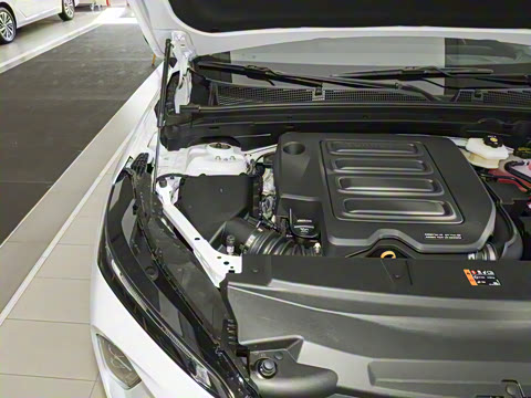 2026�� 25T �����׽��