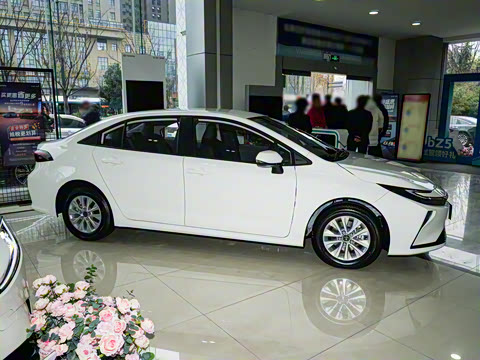 2026�� 1.8L ˫�� �ȷ��