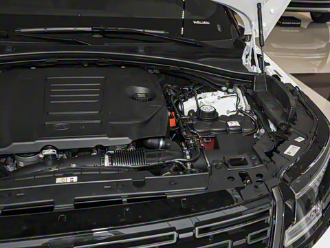 2026�� 250PS Dynamic SE