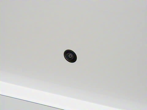 2025�� ���� Max+ ���������� 