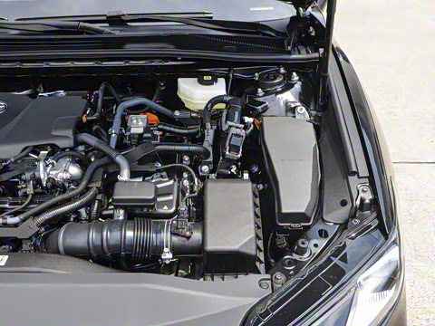 2026�� ˫�� 2.5HXS �˶�Plus��