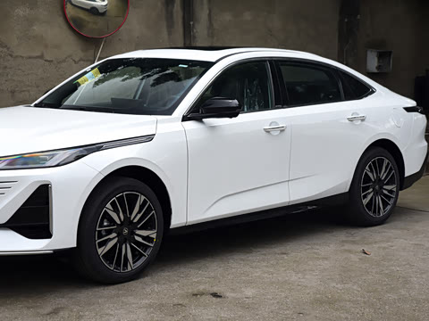 2026�� 1.5L �������� ������