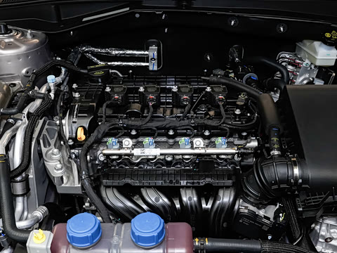 2026�� 1.5L �������� ������