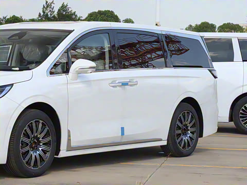 2025�� EV �������������